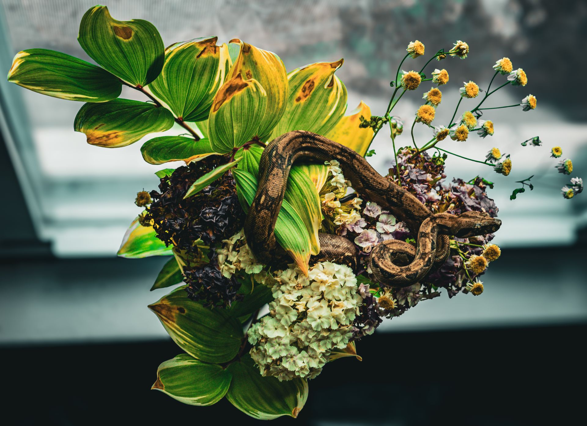 Closeup of Snake on Flower Bouquet