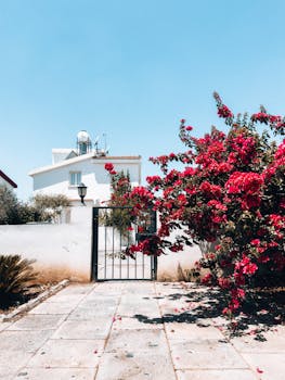 A picturesque house in Cyprus with vibrant red blossoms in a sunny setting.
