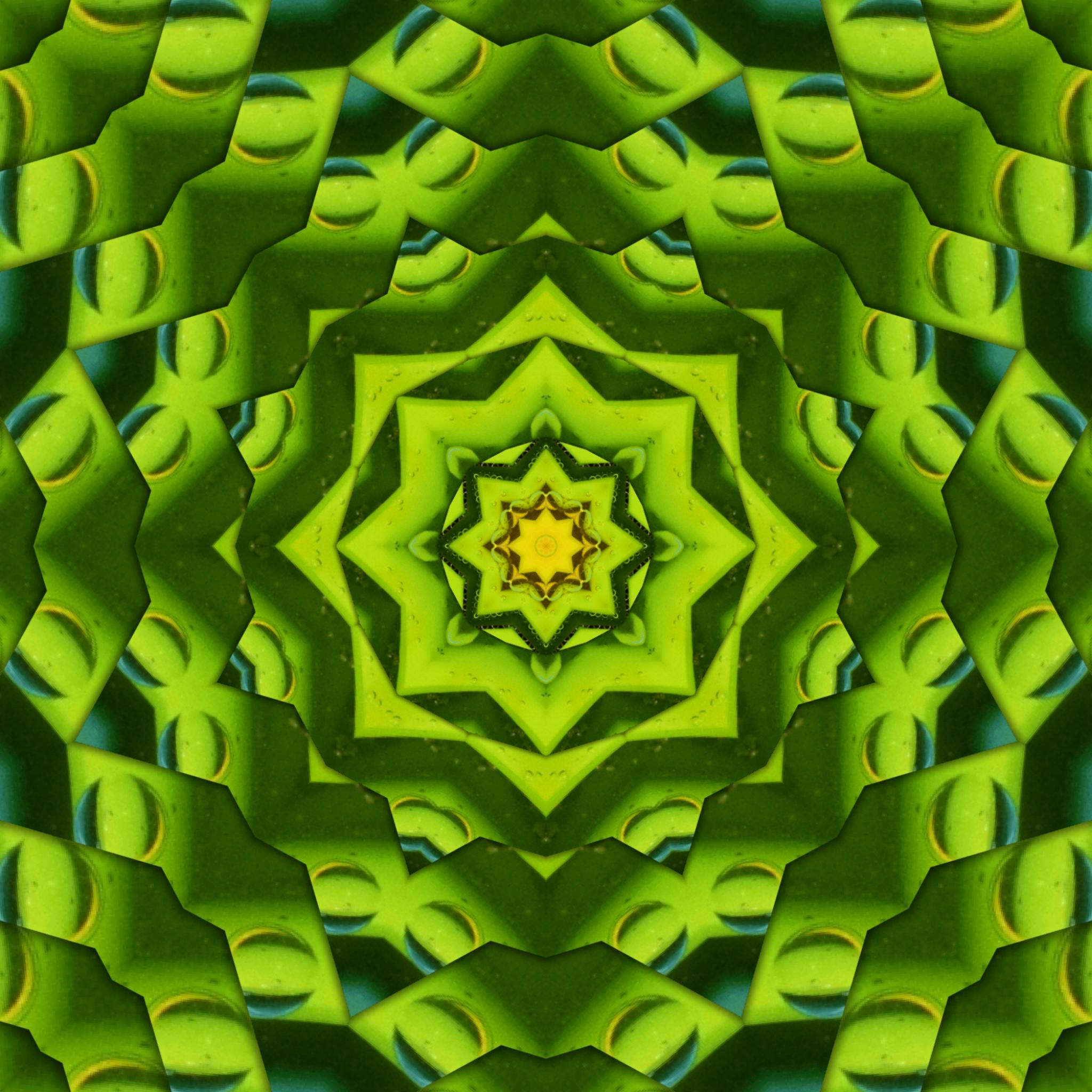 سلوك شراء عبر واتساب في السوق المصري