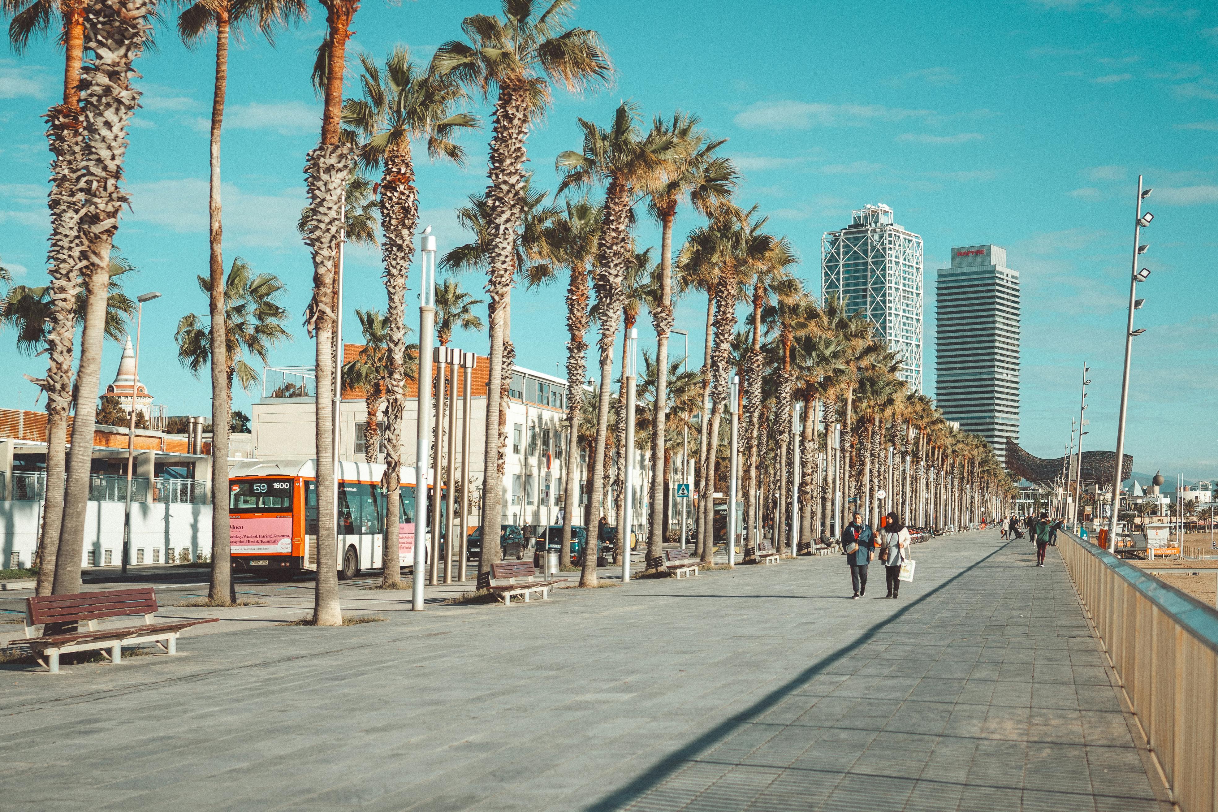 A vibrant city promenade lined with palm trees under a clear blue sky, urban skyline in view.