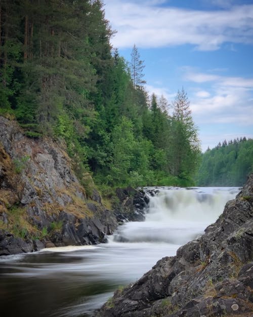 Darmowe zdjęcie z galerii z dolina, drzewa, drzewo