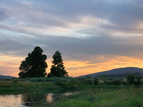 Kostnadsfri bild av äng, apelsin, fält