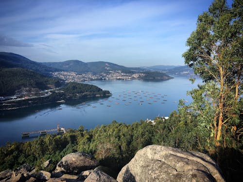 全景, 夏天, 天性 的 免费素材图片