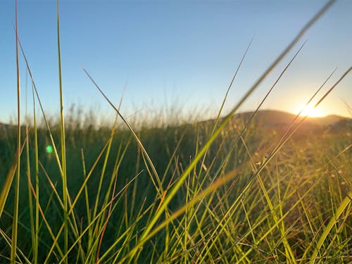 Základová fotografie zdarma na téma duna, farma, hřiště