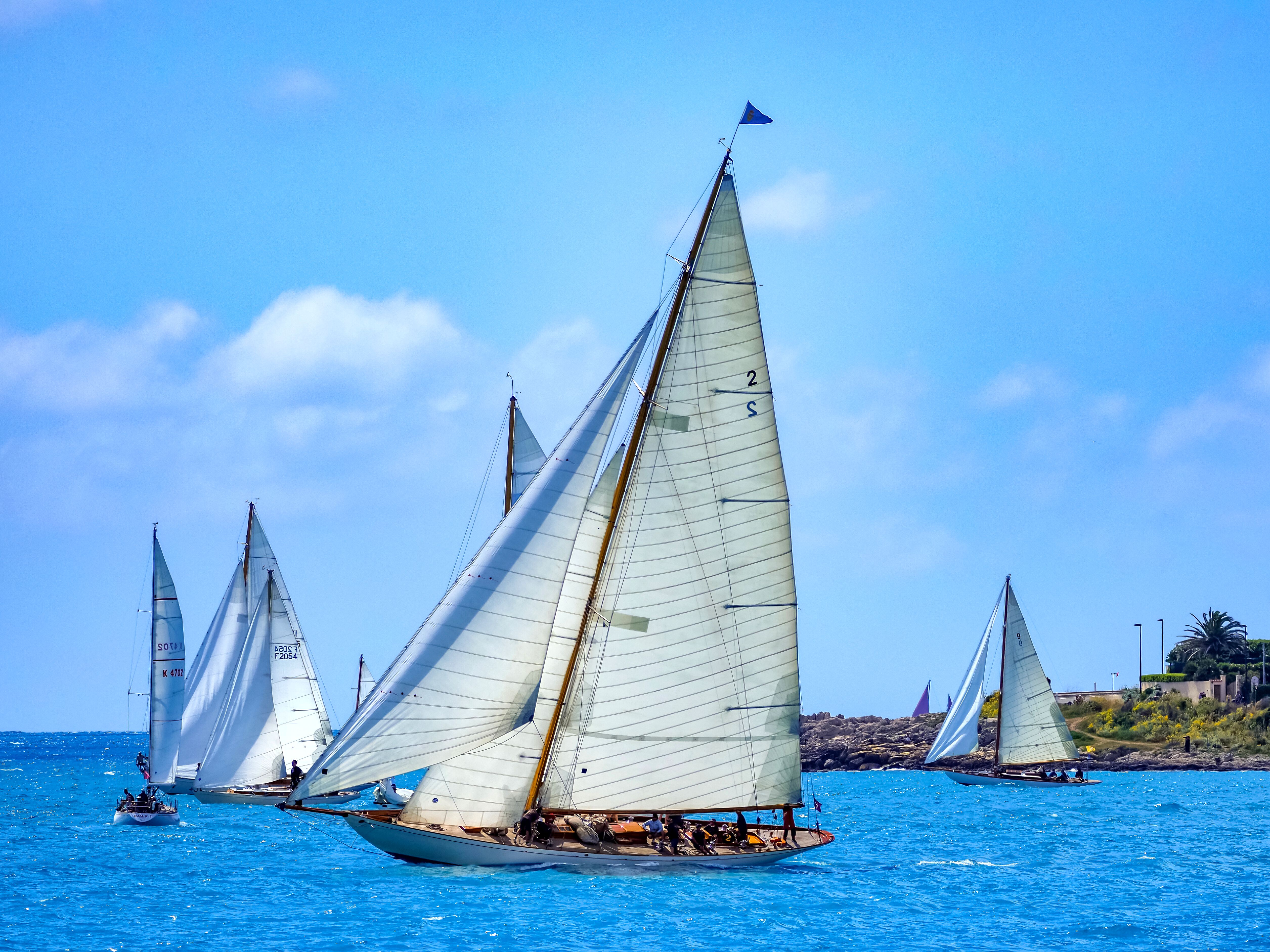 Stunning Exuma Elite Escape: Luxury Fly-In Pig Beach Adventure - 7 Stops Review 2026 - Scenic view of classic sailboats racing in a regatta under a clear blue sky.