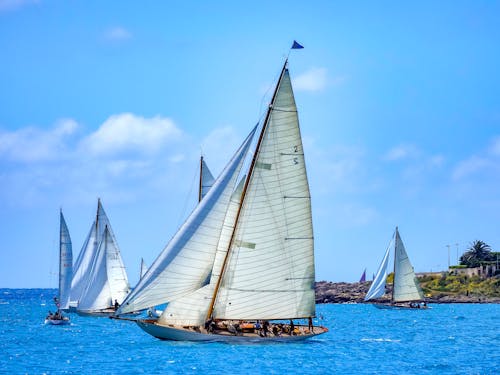 Foto profissional grátis de água, barco, barco a vela