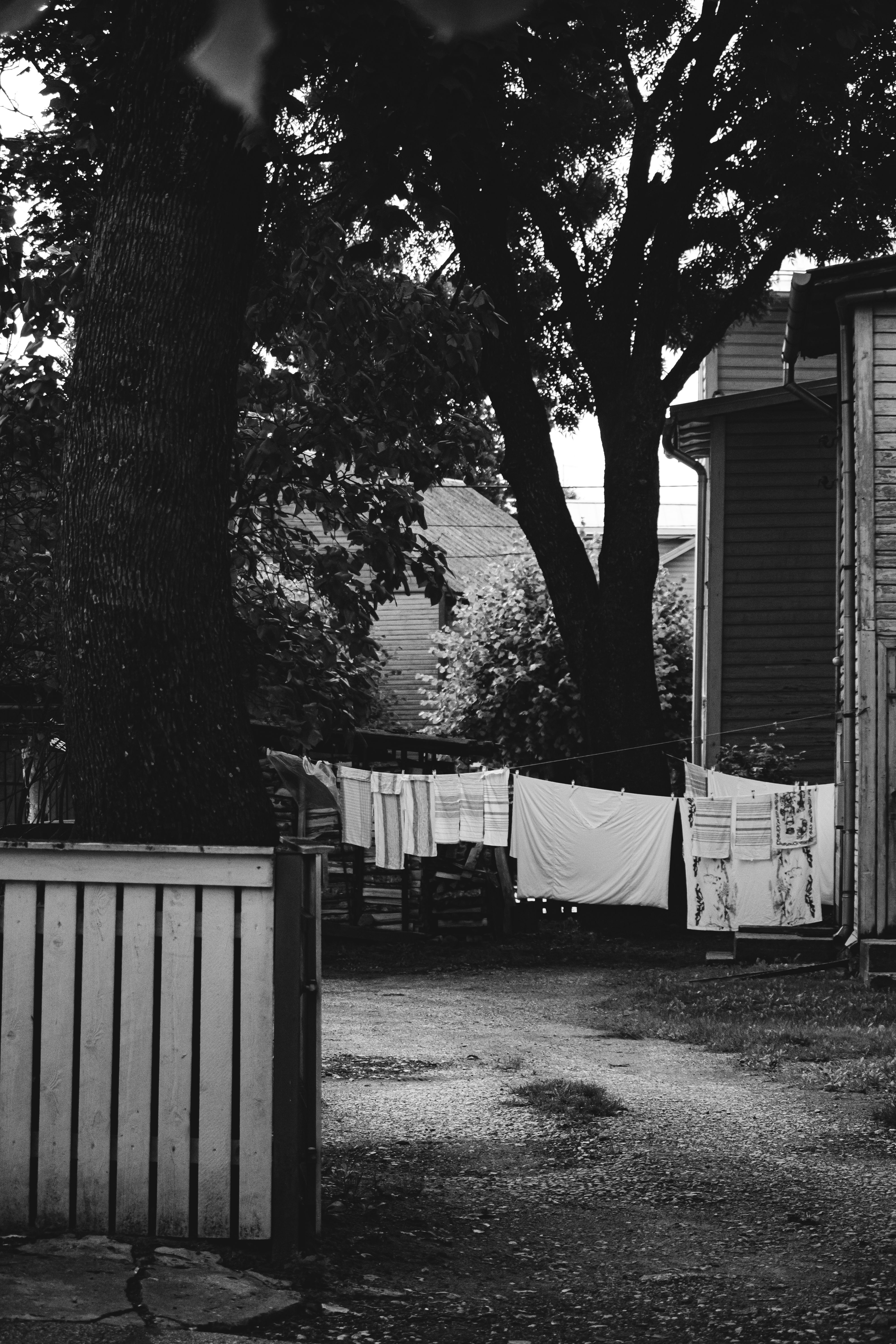Black and white photo of laundry drying on a clothesline in a shaded yard.