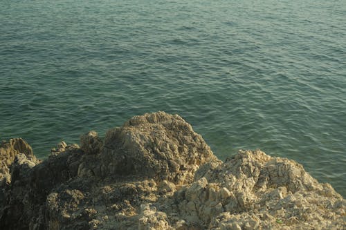 Fotos de stock gratuitas de agua, barca, costa