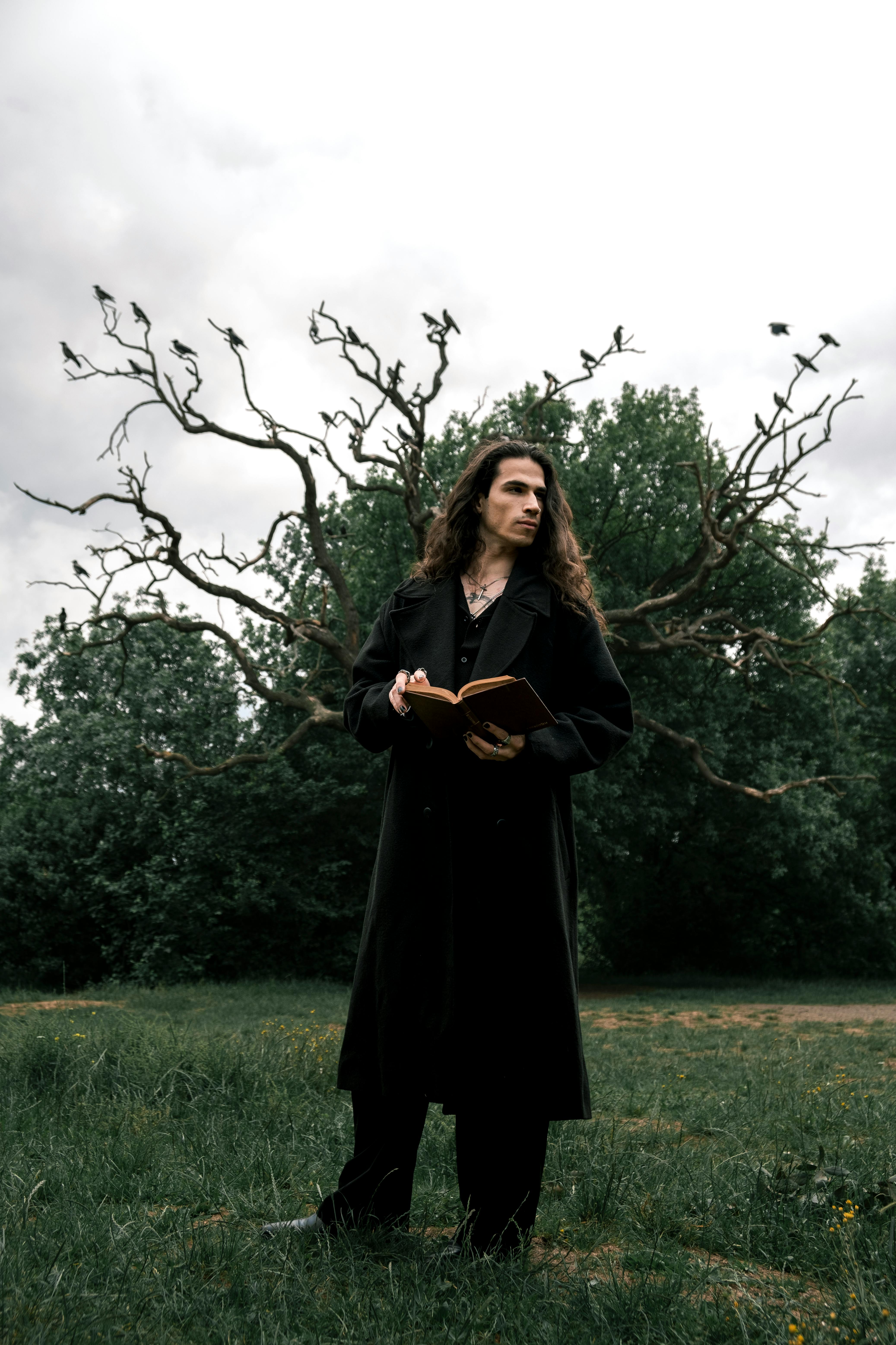 A man with long hair reading a book in a rural field, standing by an intriguing tree.