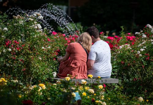 Free A couple embraces on a park bench surrounded by vibrant summer flowers. Stock Photo