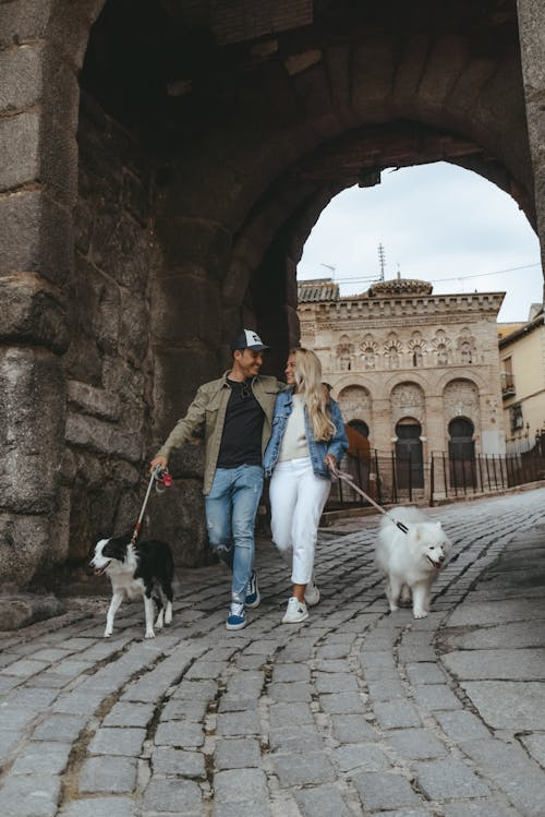 A couple walking their dogs through an archway