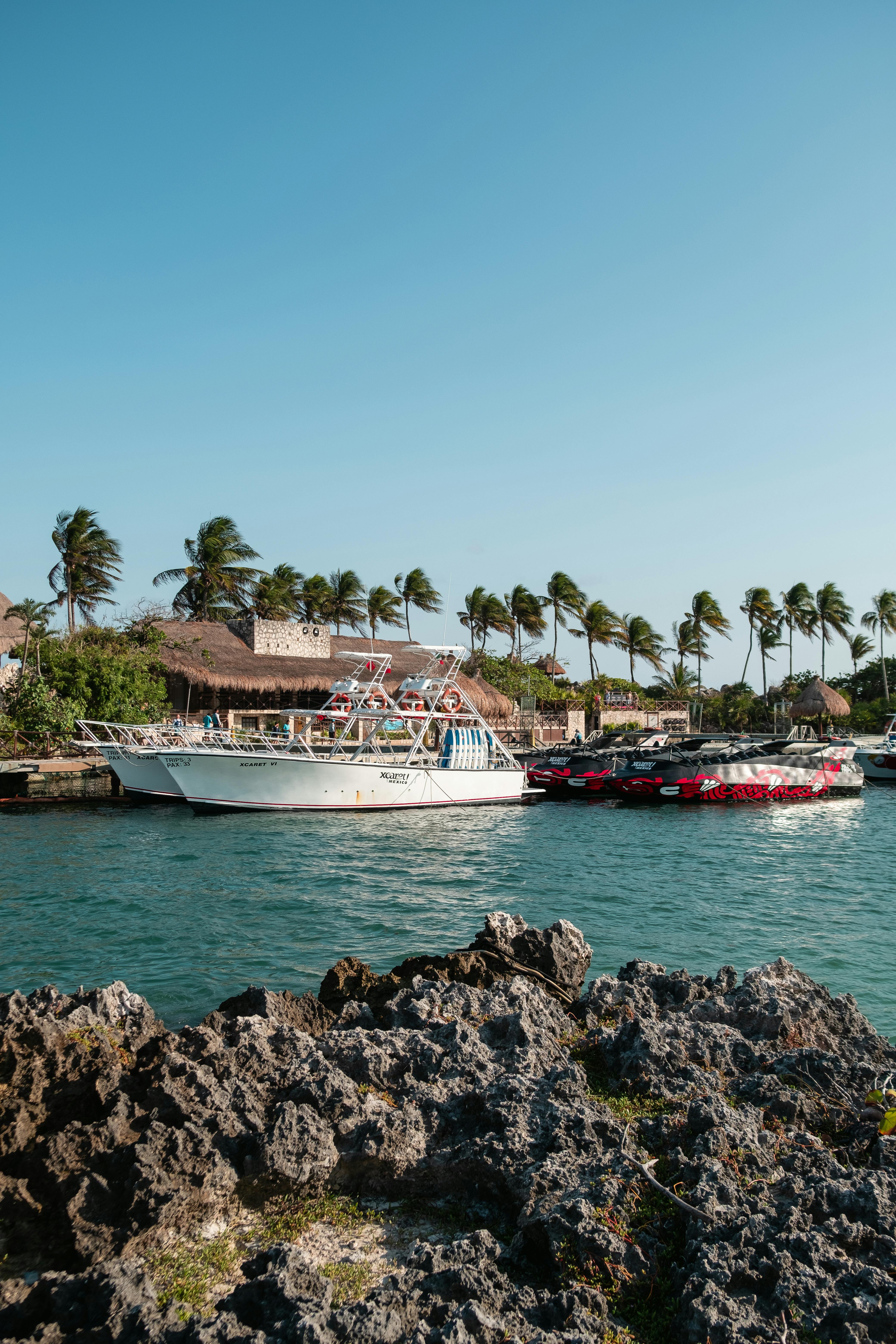 photo of boats in a harbor