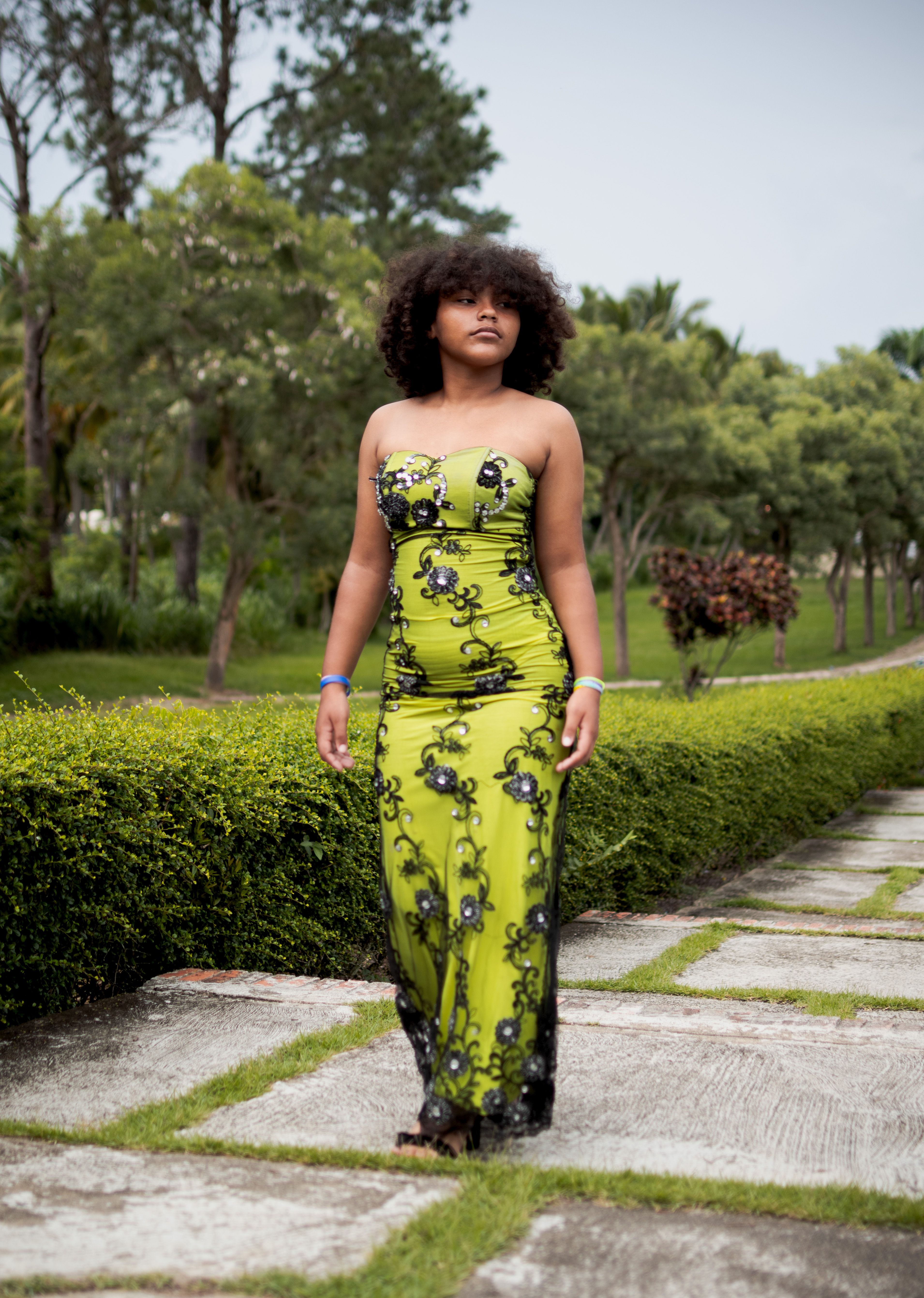 Walk in the Park Dress