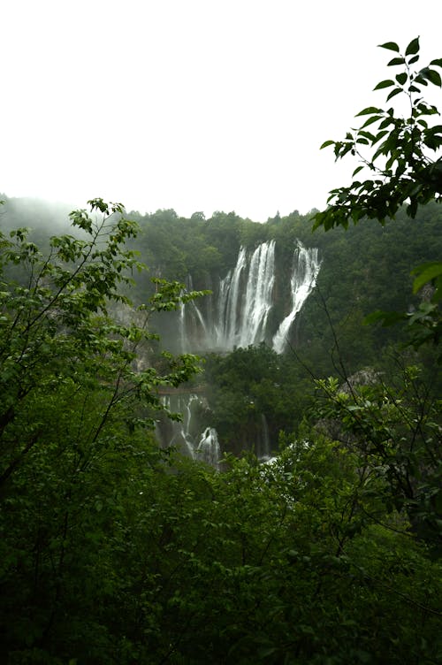 Fotobanka s bezplatnými fotkami na tému cestovať, dažďový prales, džungľa