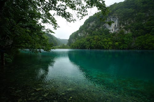 Základová fotografie zdarma na téma cestování, dešťový prales, dřevo