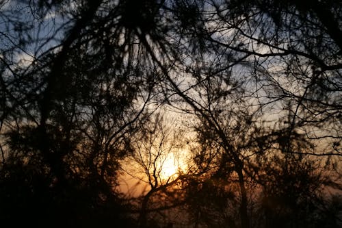 Ilmainen kuvapankkikuva tunnisteilla auringonlasku, auringonsäteet