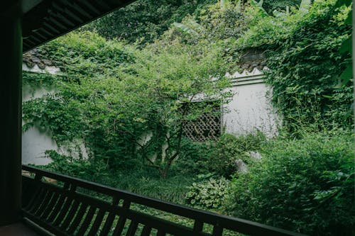 中國, 古建築, 園景 的 免費圖庫相片