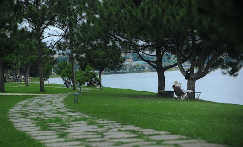 Imagine de stoc gratuită din afară, iarbă verde, lac albastru