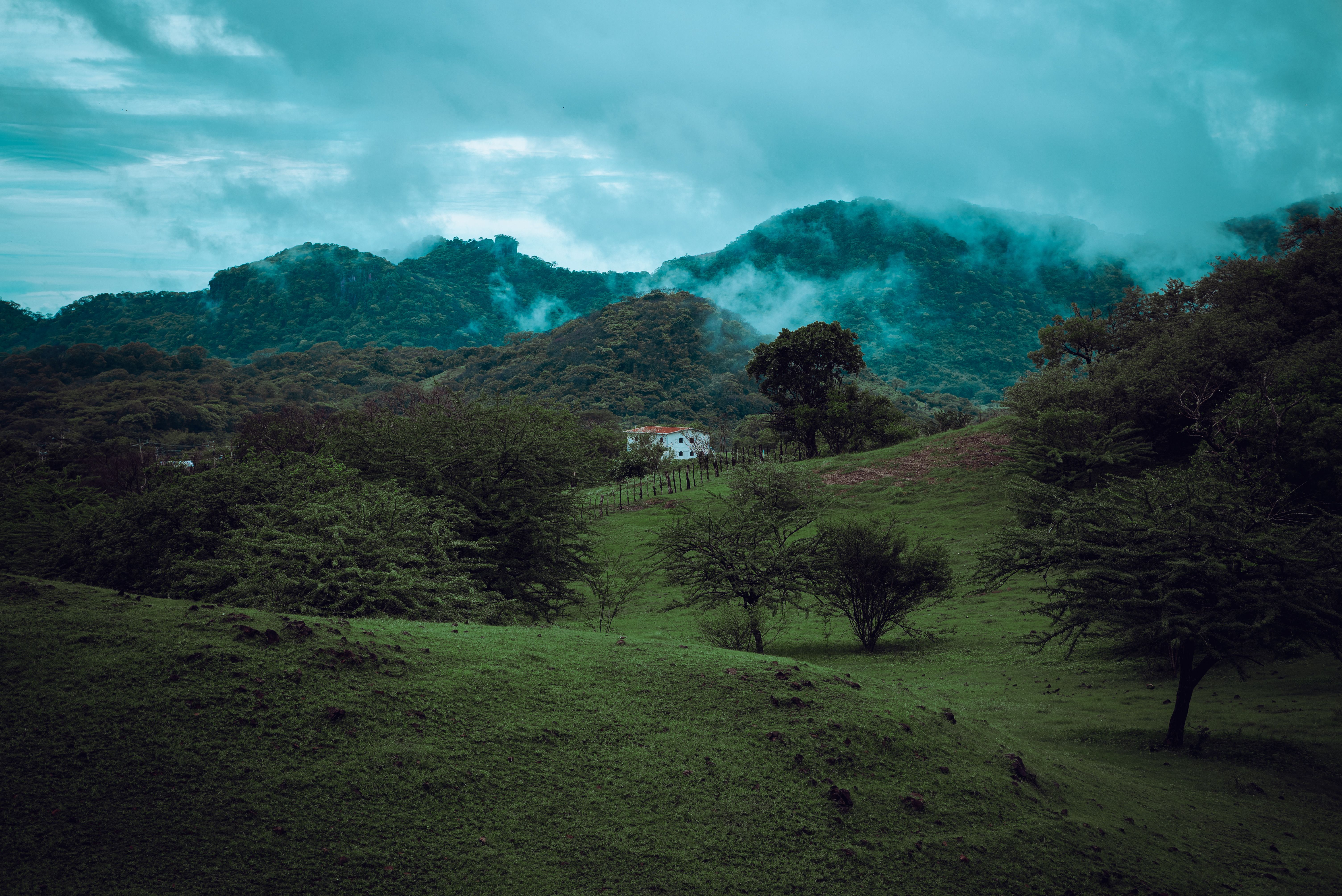 Nurtured by Nature 3