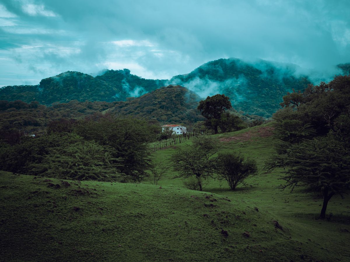 Nurtured by Nature 3