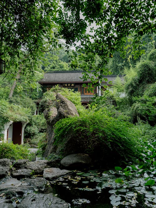中国, 古建筑, 园林 的 免费素材图片