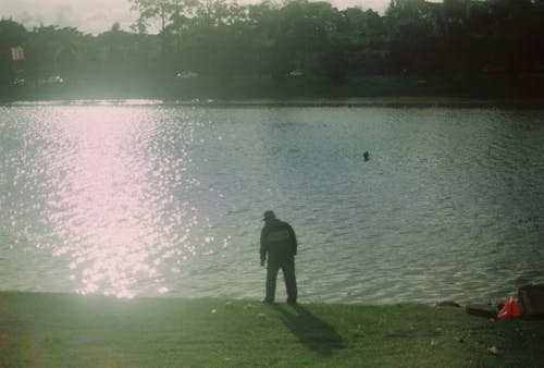 Foto d'estoc gratuïta de pescador de canya, resplendor calent, retroil·luminat