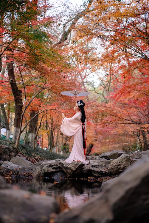 Gratis lagerfoto af å, asiatisk kvinde, efterår