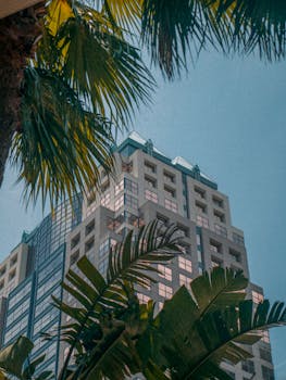 在奥兰多，郁郁葱葱的棕榈叶映衬着清澈的蓝天，与高层建筑相映成趣