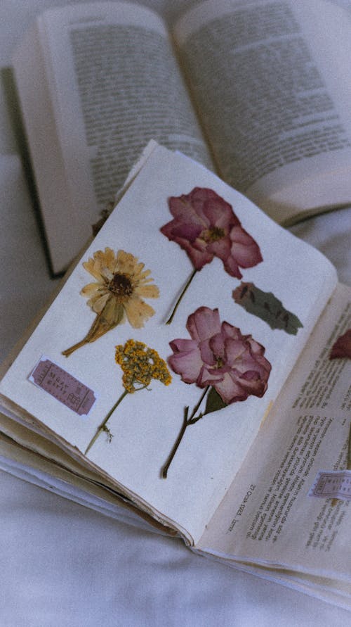 A book with a flower on it and a flower on the page