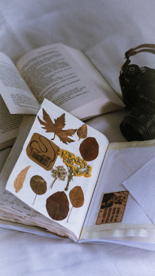 A book with a camera and a leaf on it