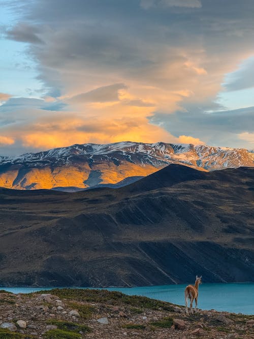 Základová fotografie zdarma na téma cestování, hora, jezero