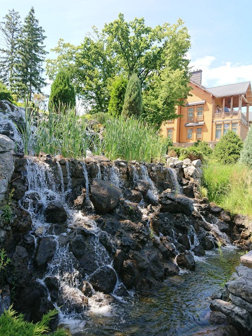 Ingyenes stockfotó Ukrajna témában