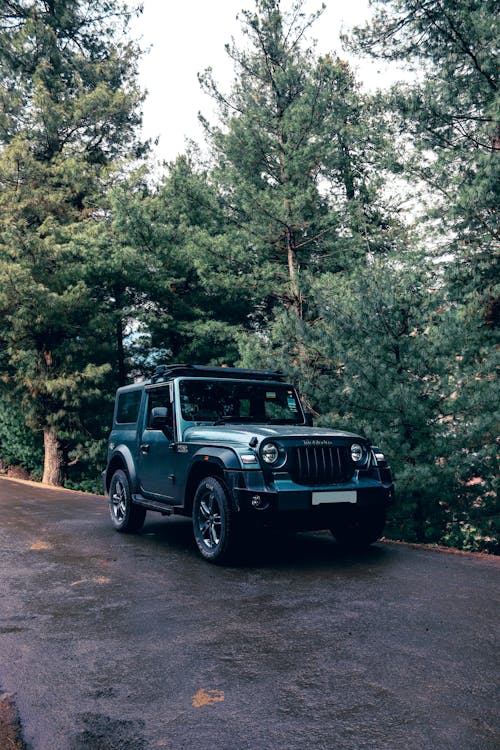 Mahindra Thar - Pahalgam