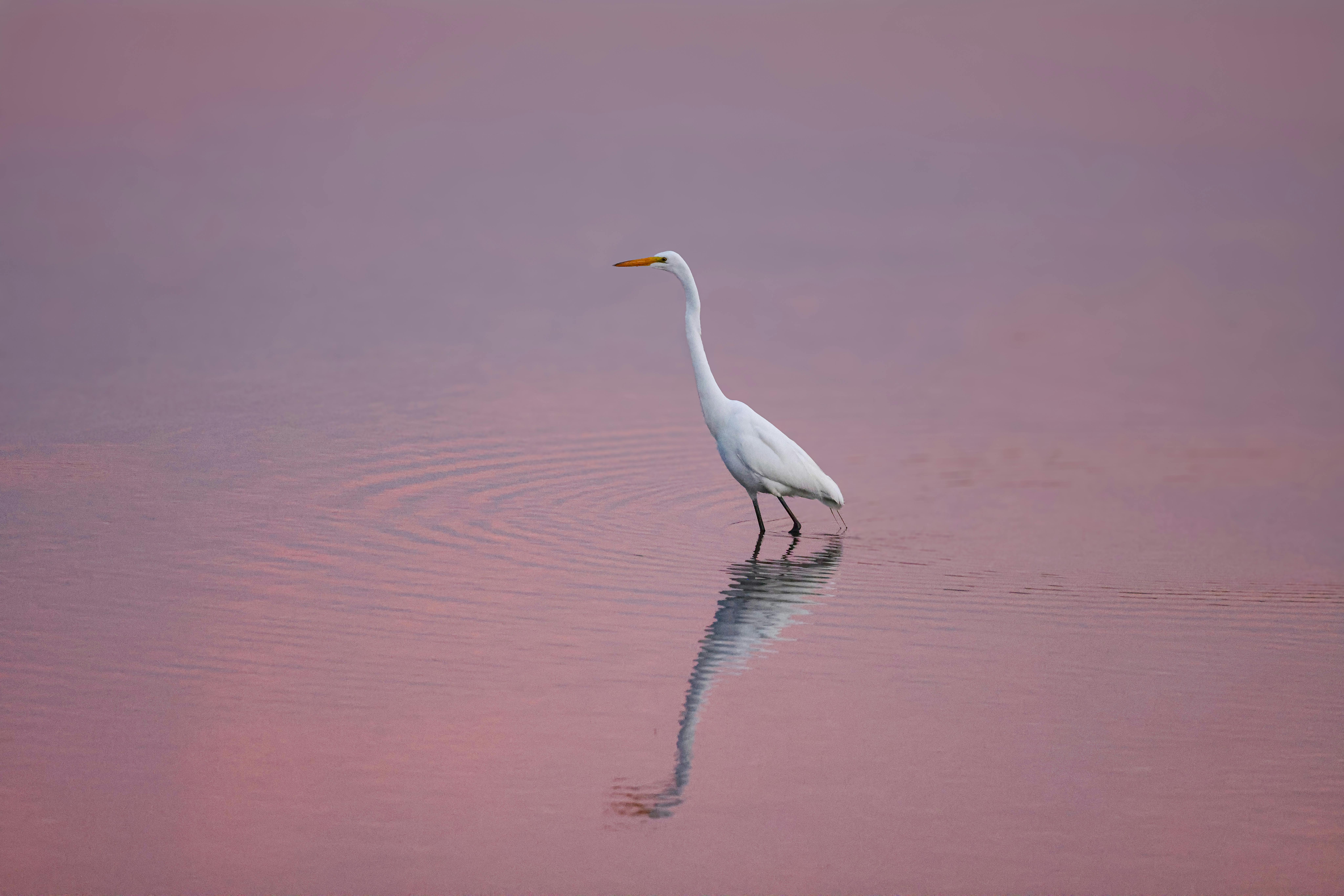 Image related to connecticut magazine names top wing government