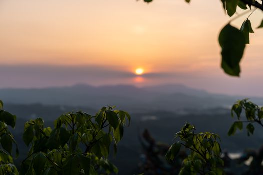 Capture the tranquility of a sunset over mountains with silhouetted leaves in the foreground.