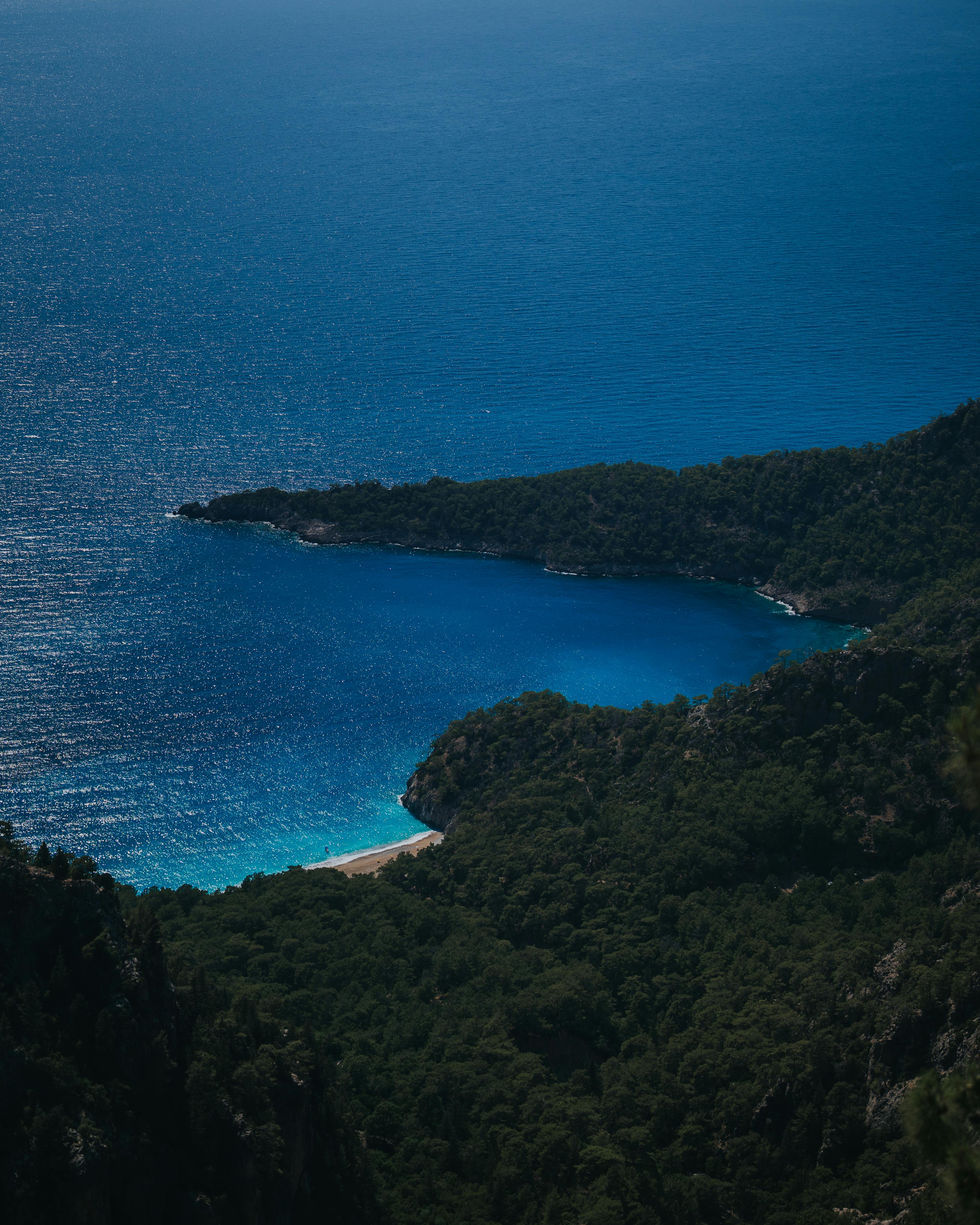 Discover the serene landscape of a lush green bay meeting the deep blue ocean in a secluded cove.