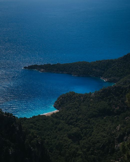 Discover the serene landscape of a lush green bay meeting the deep blue ocean in a secluded cove.