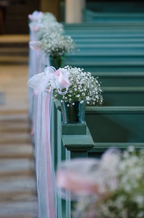 White Potted Flowers With White Textiles