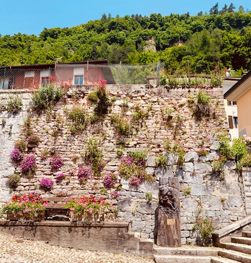 Kostnadsfri bild av blommor, Italien, pieve tesino