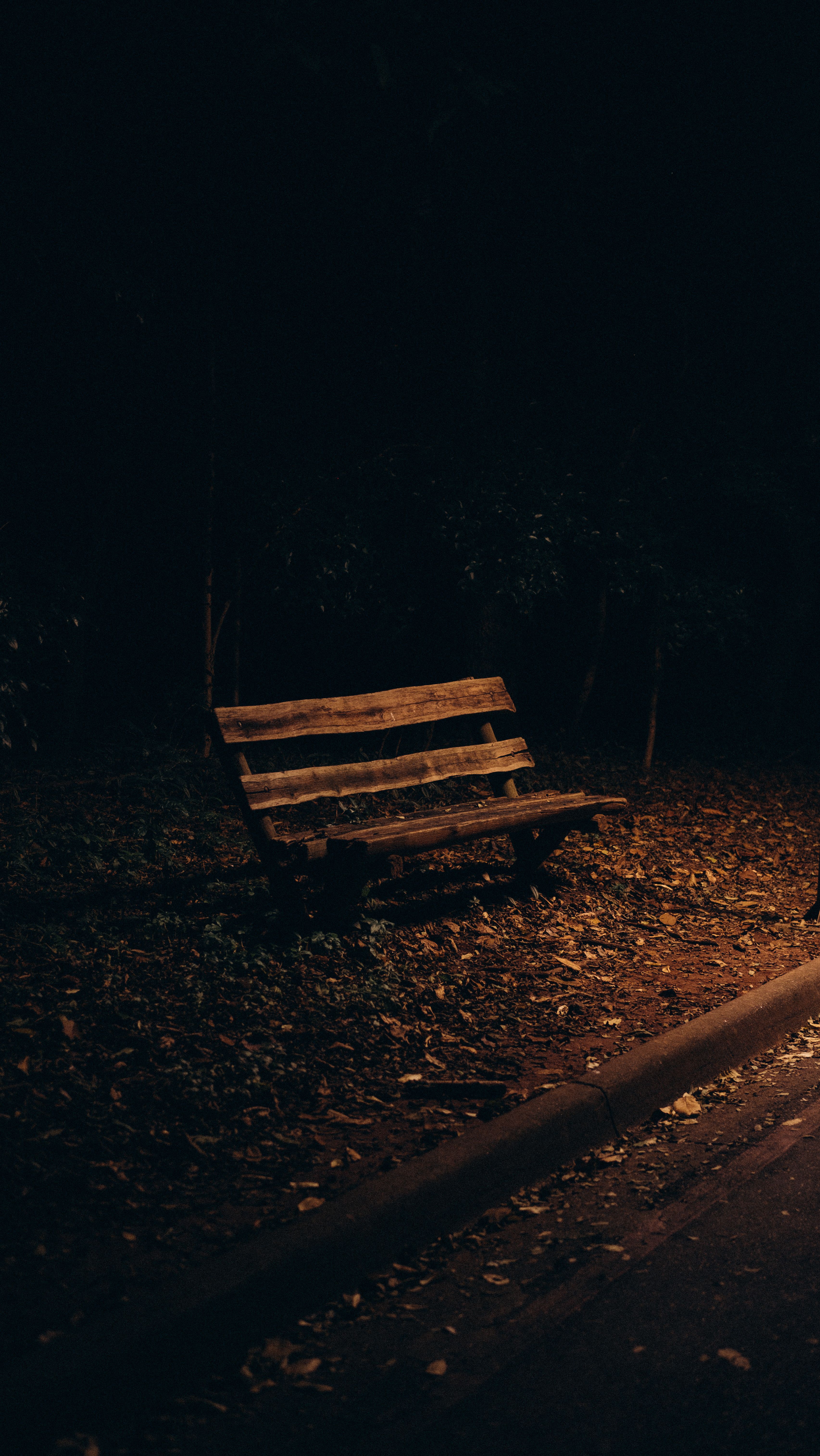 Bench in Park at Night · Free Stock Photo