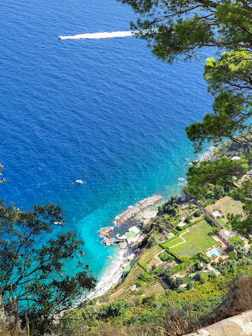 Immagine gratuita di acqua di mare, alberi, capri