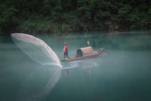 Free A serene scene of an Asian fisherman casting a net on a misty river surrounded by lush forest. Stock Photo