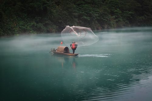 Free A fisherman casts a net on a misty river, surrounded by lush forest. Stock Photo