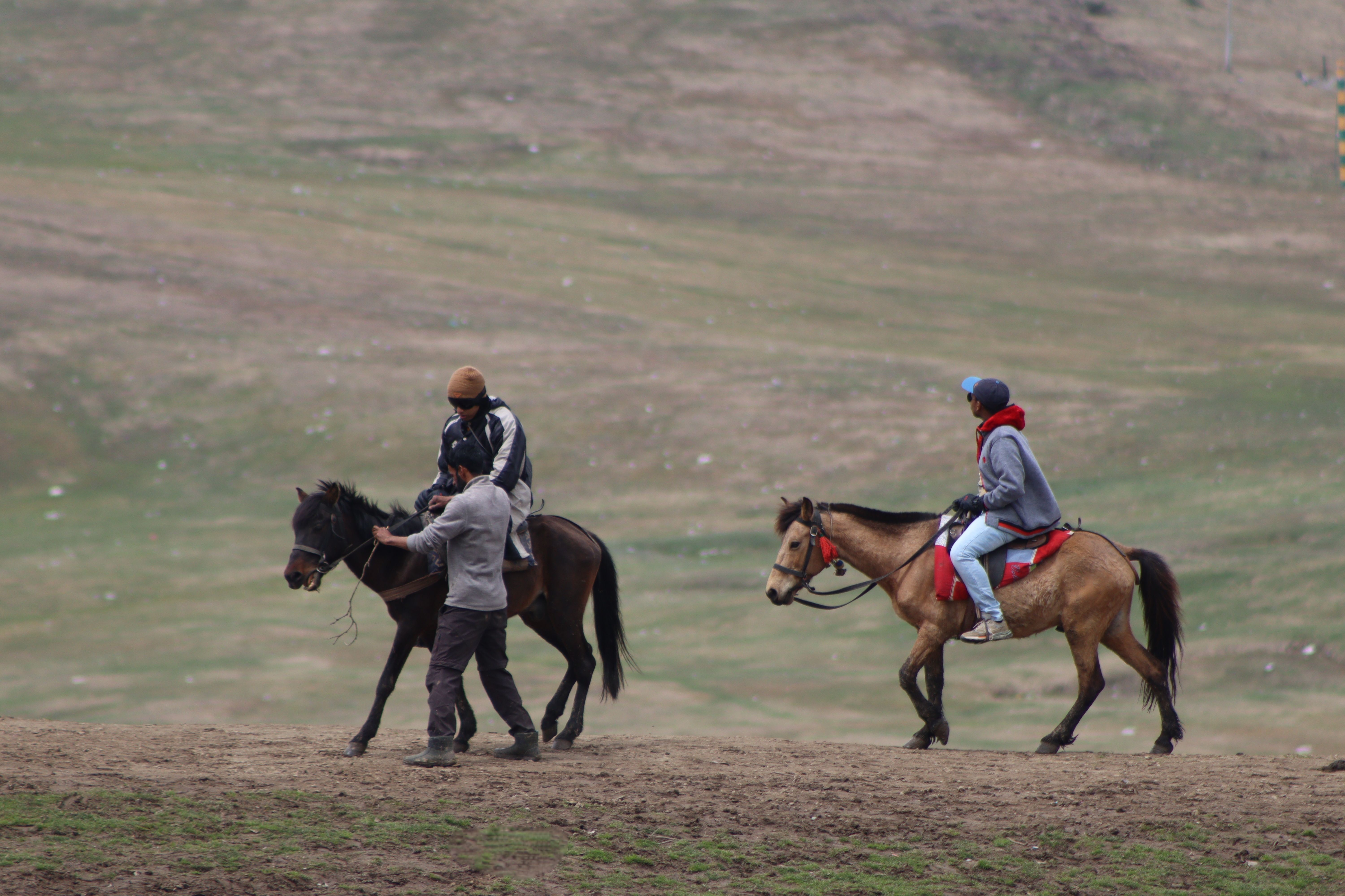 Équitation dans les Collines de Monduli