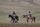 horseback riding