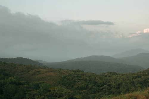Free A scenic landscape with misty hills and lush greenery under cloudy skies, capturing nature's tranquility. Stock Photo