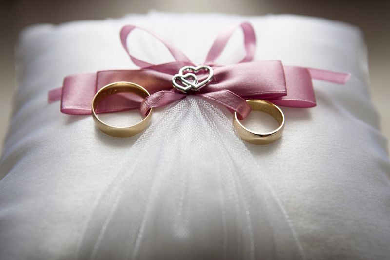 Demo - Blush Pink Fabric Backdrop