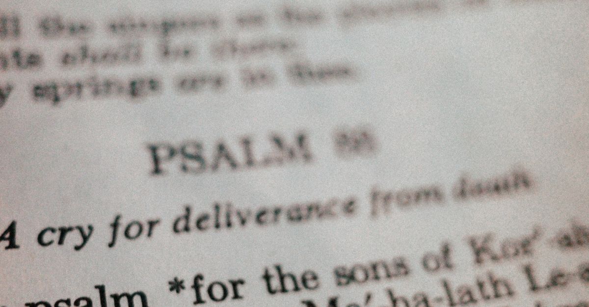 Scripture Pages Photo Close up of a Bible Page · Free Stock Photo