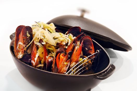 Mussels — Mejillones