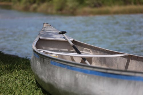 Kostnadsfri bild av kanot, paddling, vatten